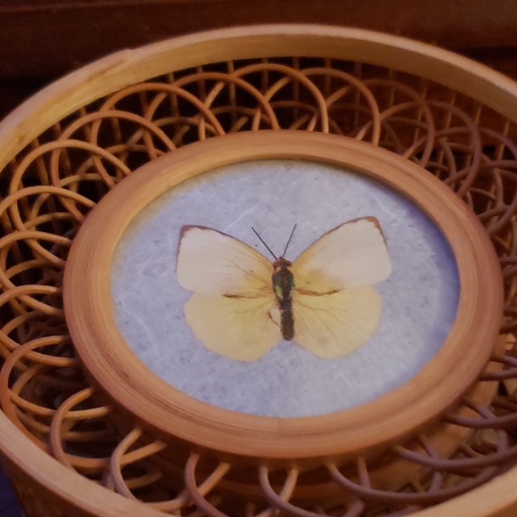 Bamboo Wicker Butterfly Coaster Set. - Picture 7 of 7